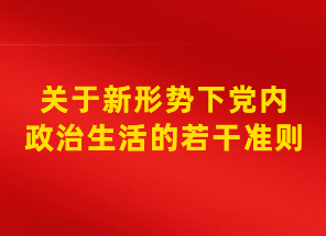 关于新形势下党内政治生活的若干准则